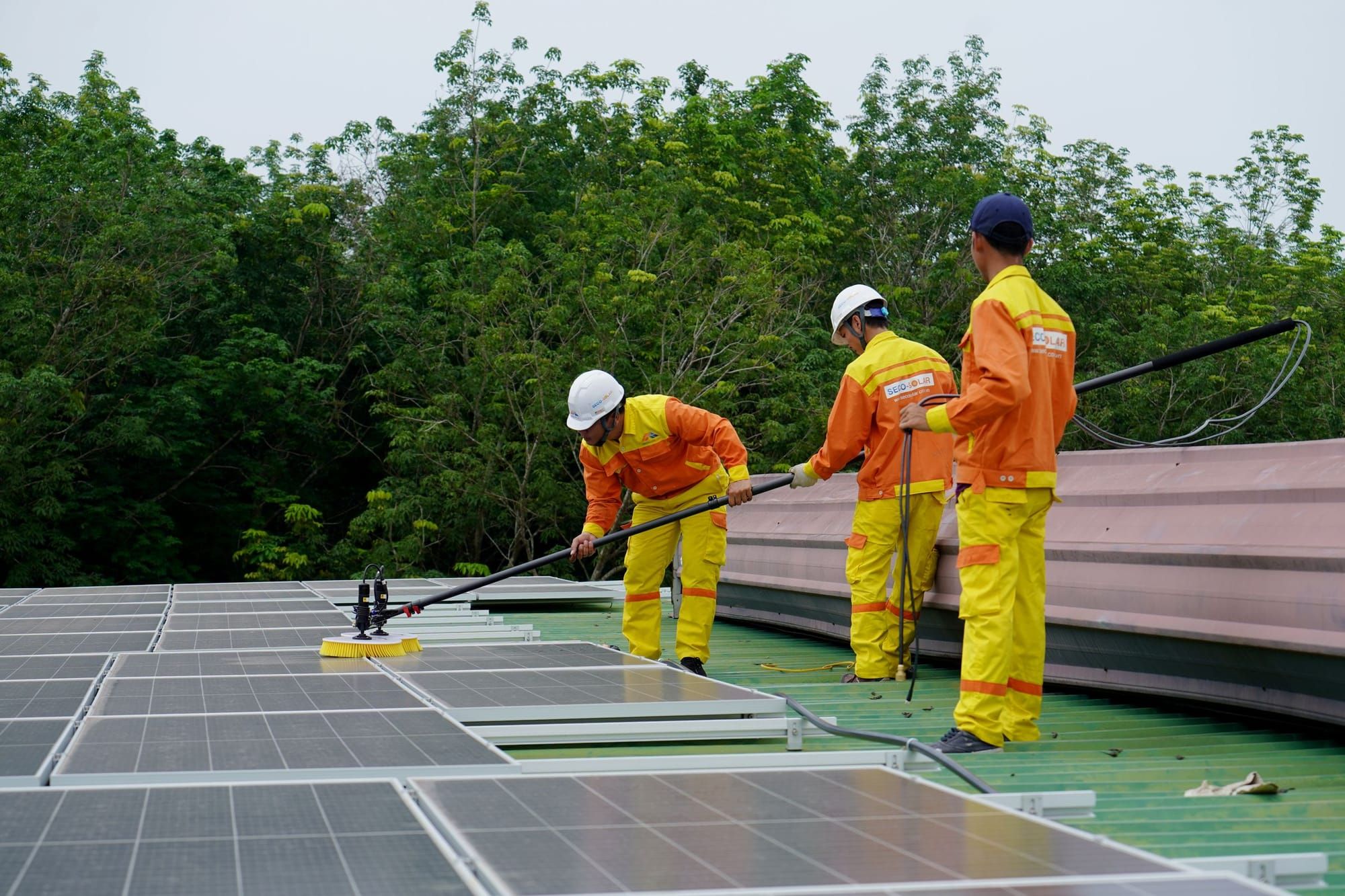 Workers in protective suits cleaning rooftop panels